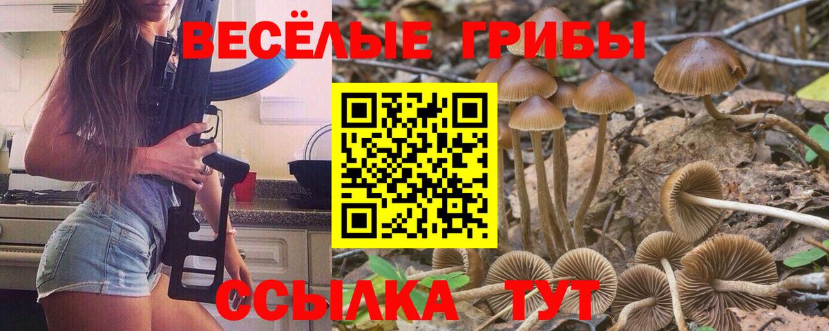 Галлюциногенные грибы ЛСД  Вход с VPN  Гурьевск 